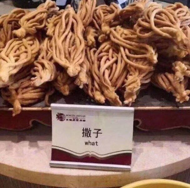 Failed Translations (16 pics)