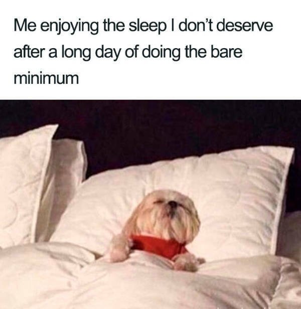 Sleep Memes (18 pics)