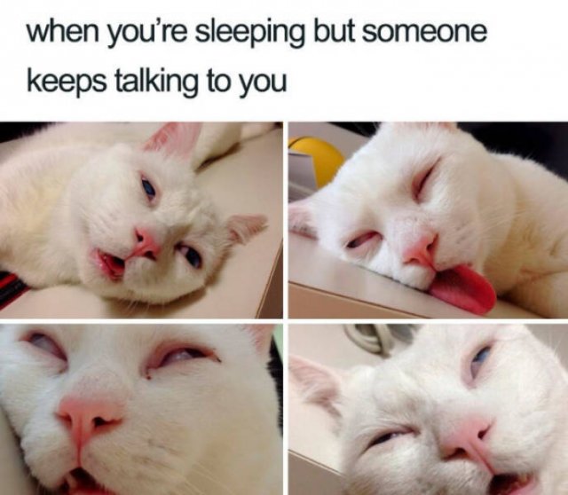 Sleep Memes (18 pics)