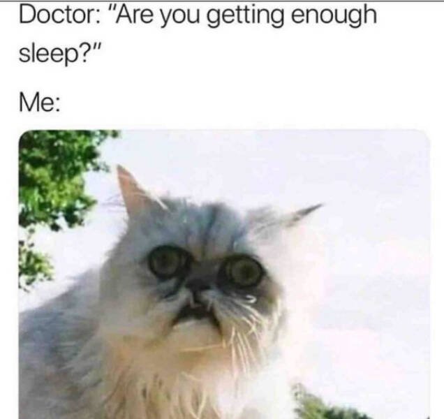 Sleep Memes (18 pics)