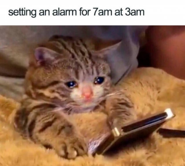Sleep Memes (18 pics)
