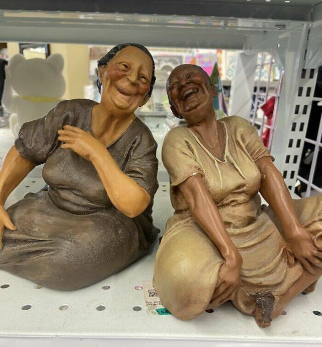 Weird Finds In Thrift Shops (24 pics)