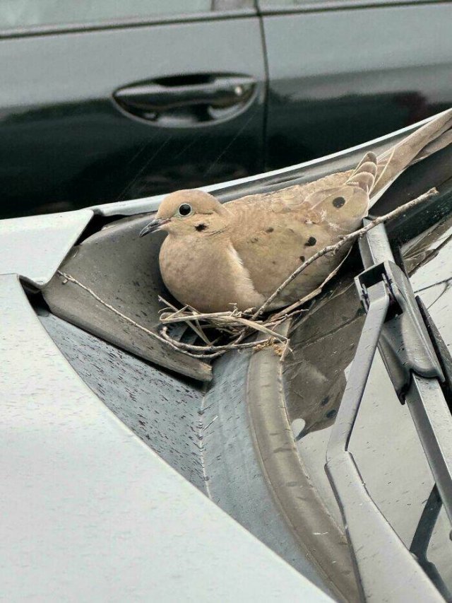 Interesting Finds And Discoveries (24 pics)