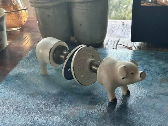 Weird Finds In Thrift Shops (24 pics)
