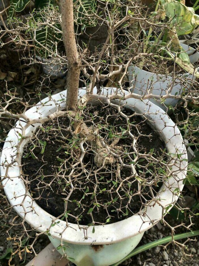 Interesting Finds And Discoveries (24 pics)