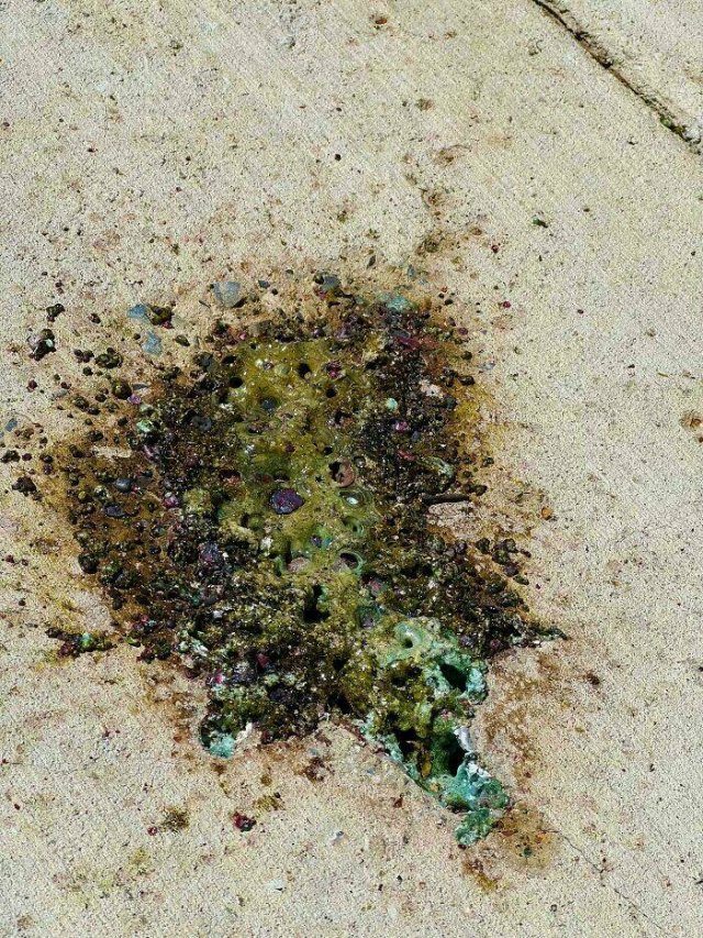 Interesting Finds And Discoveries (24 pics)