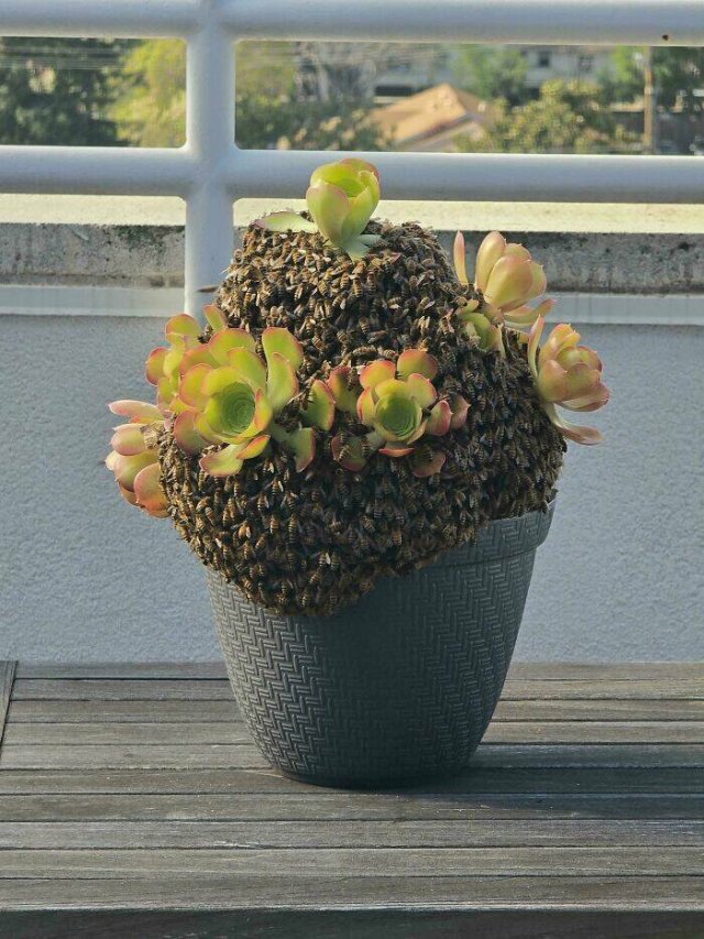 Interesting Finds And Discoveries (24 pics)