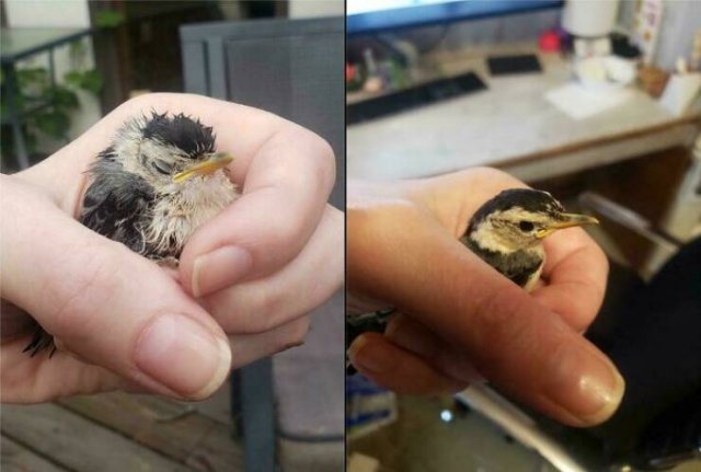 Interesting Finds And Discoveries (24 pics)