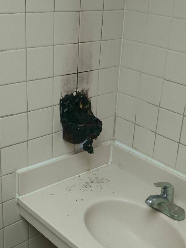 Interesting Finds And Discoveries (24 pics)