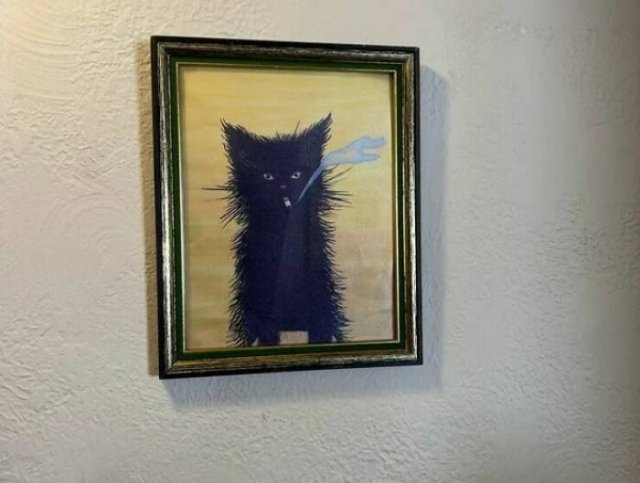 Weird Finds In Thrift Shops (24 pics)