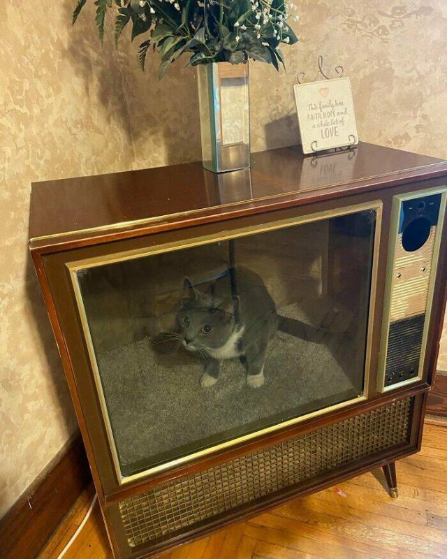 Weird Finds In Thrift Shops (24 pics)