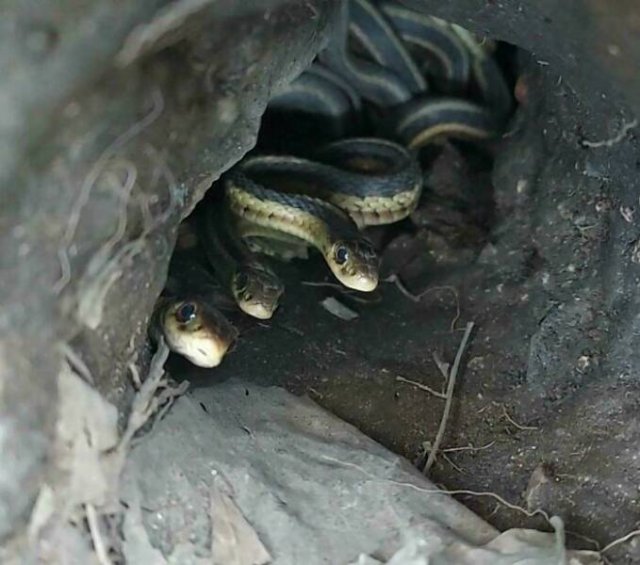 Interesting Finds And Discoveries (24 pics)