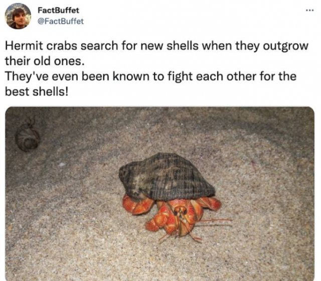 Random Facts (29 pics)