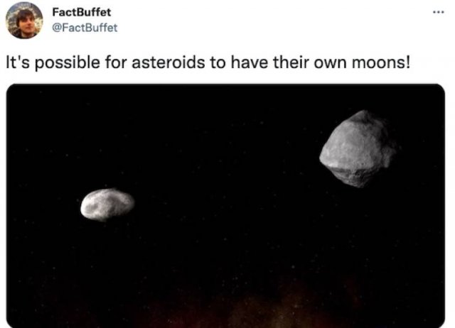 Random Facts (29 pics)
