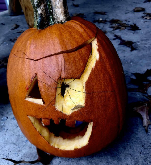 Creepy Photos (17 pics)