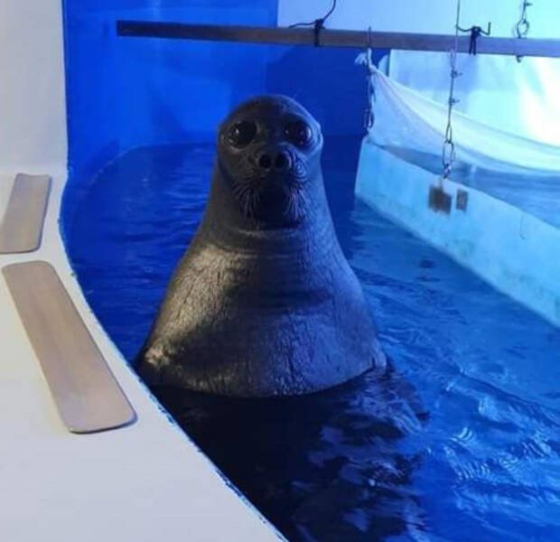 Creepy Photos (17 pics)