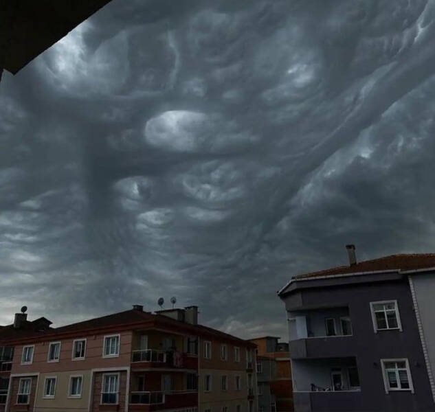 Creepy Photos (17 pics)