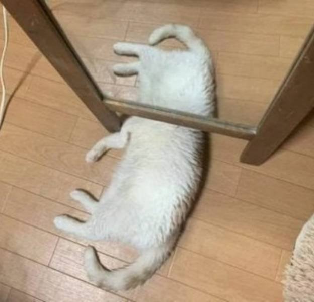Optical Illusions (33 pics) Optical Illusions (33 pics)