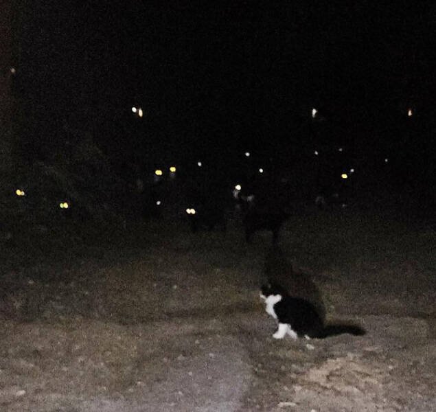 Creepy Photos (17 pics)