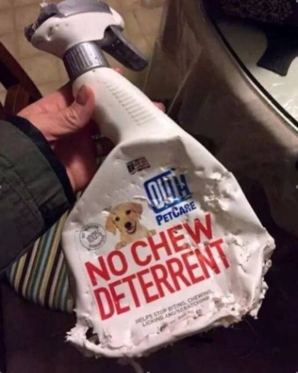 Epic Fails (23 pics)