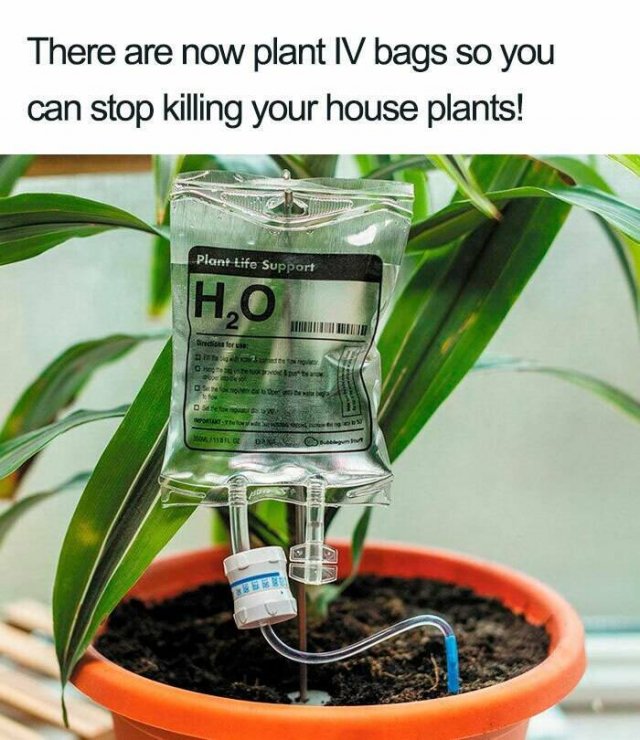 Cool Things And Designs (29 pics)