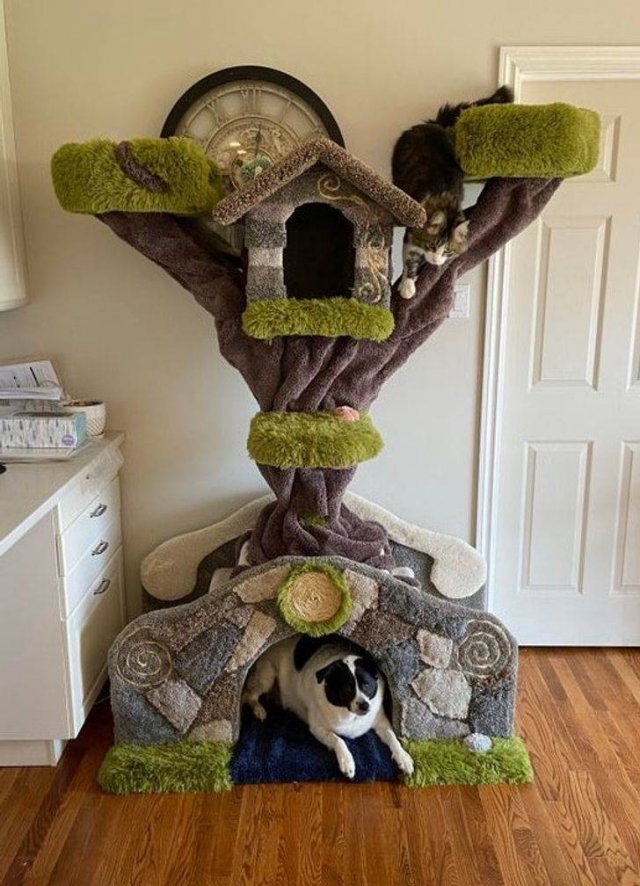 Awesome DIY Crafts (39 pics)