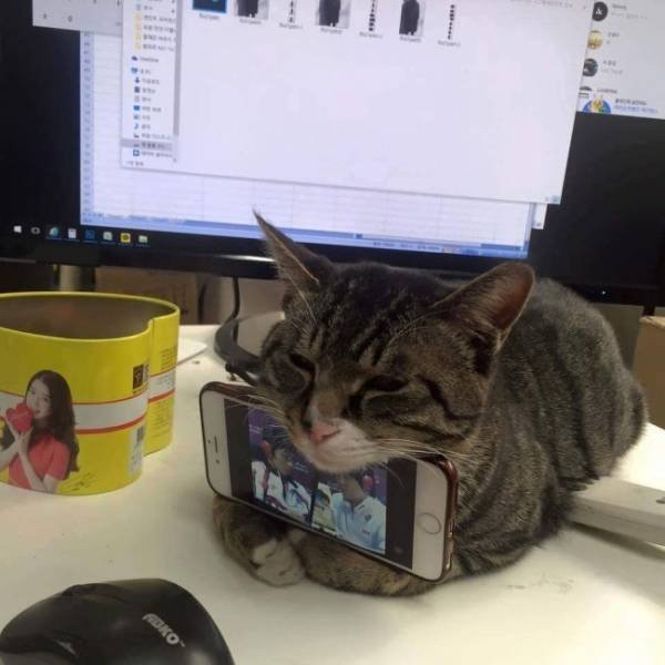 Resourceful People (25 pics)