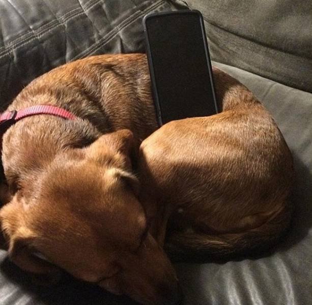 Resourceful People (25 pics)