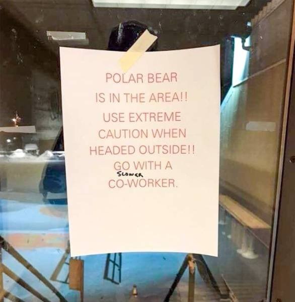 Resourceful People (25 pics)