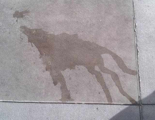 Unexpected Creativity (16 pics)