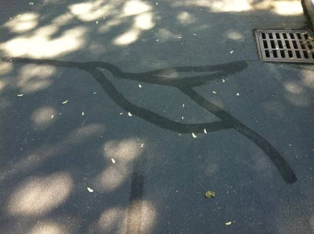 Unexpected Creativity (16 pics)