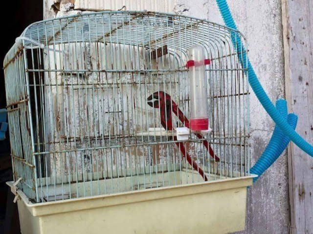 Unexpected Creativity (16 pics)