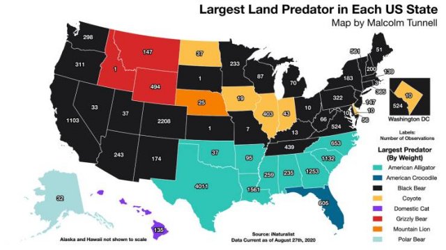 Interesting Data (26 pics)