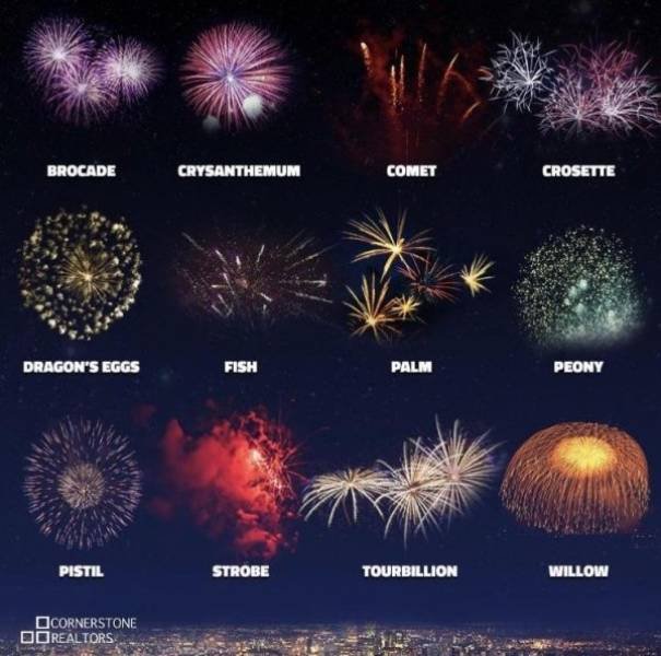 Interesting Data (26 pics)