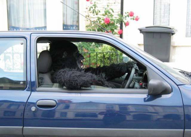 Odd Driving Laws In Different States Of America (49 pics)