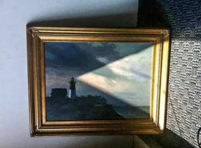 Look Twice (20 pics)