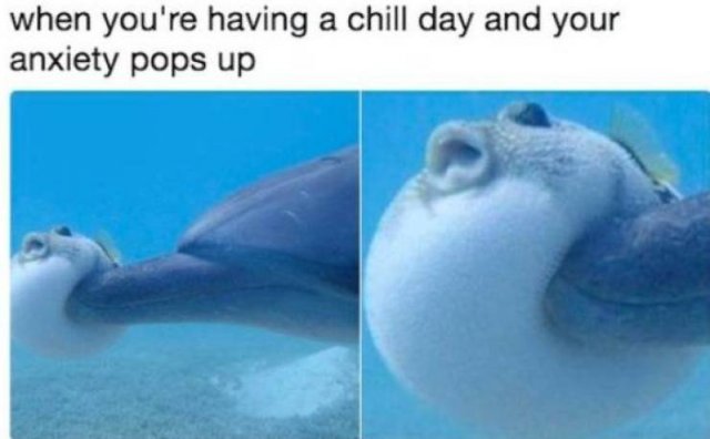 Memes About Mental Health (30 pics)