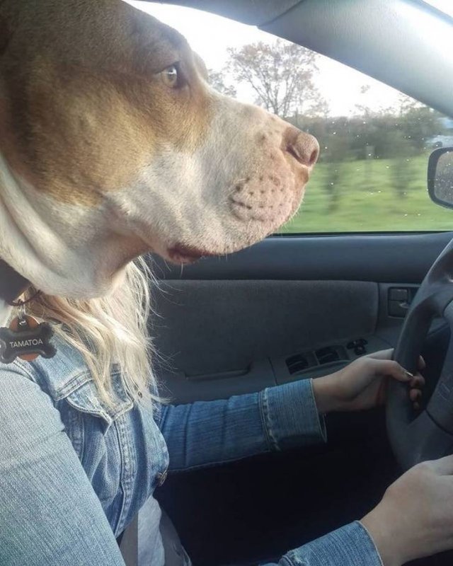 Look Twice (20 pics)