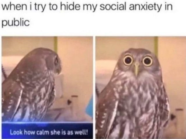 Memes About Mental Health (30 pics)