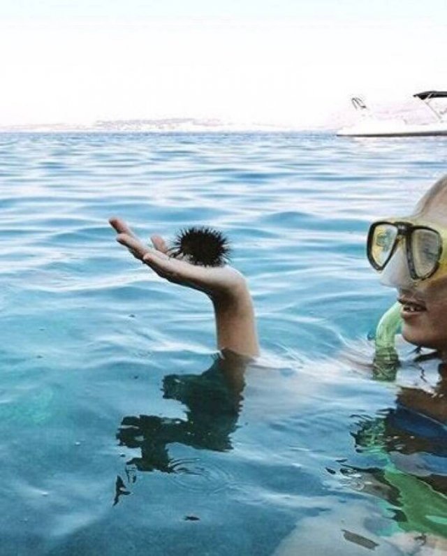 Look Twice (20 pics)