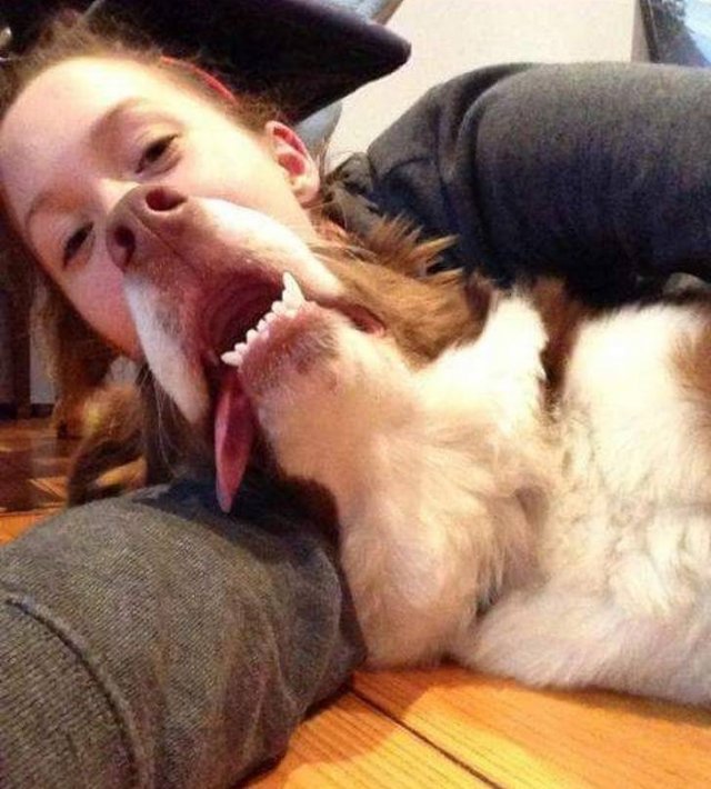 Look Twice (20 pics)