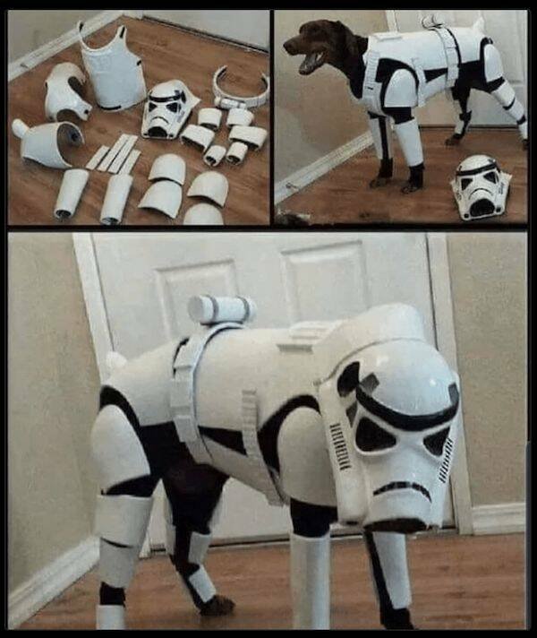 Movie Memes (28 pics)