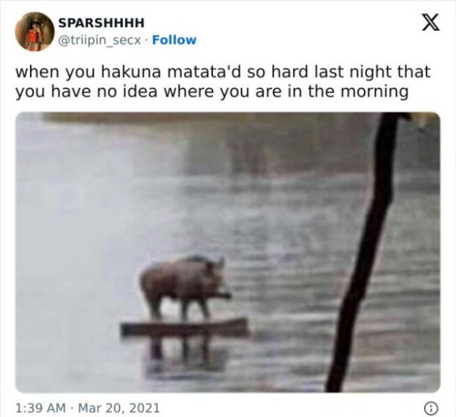 Random Memes (20 pics) Random Memes (20 pics)