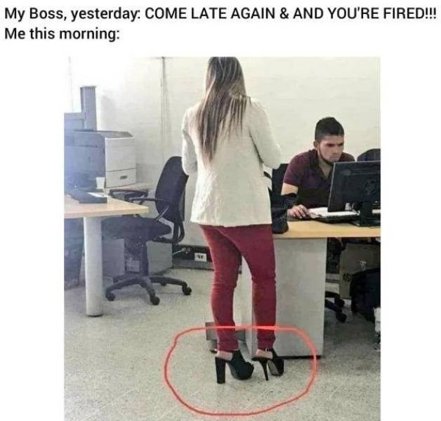 Alcohol Memes (41 pics)