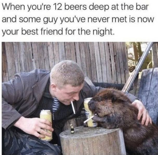 Alcohol Memes (41 pics)