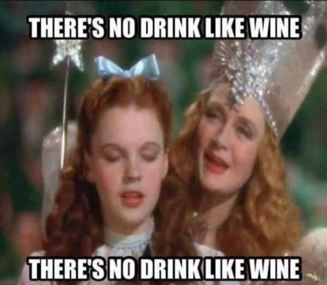 Alcohol Memes (41 pics)