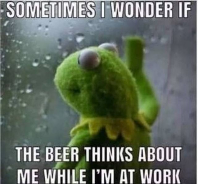 Alcohol Memes (41 pics)