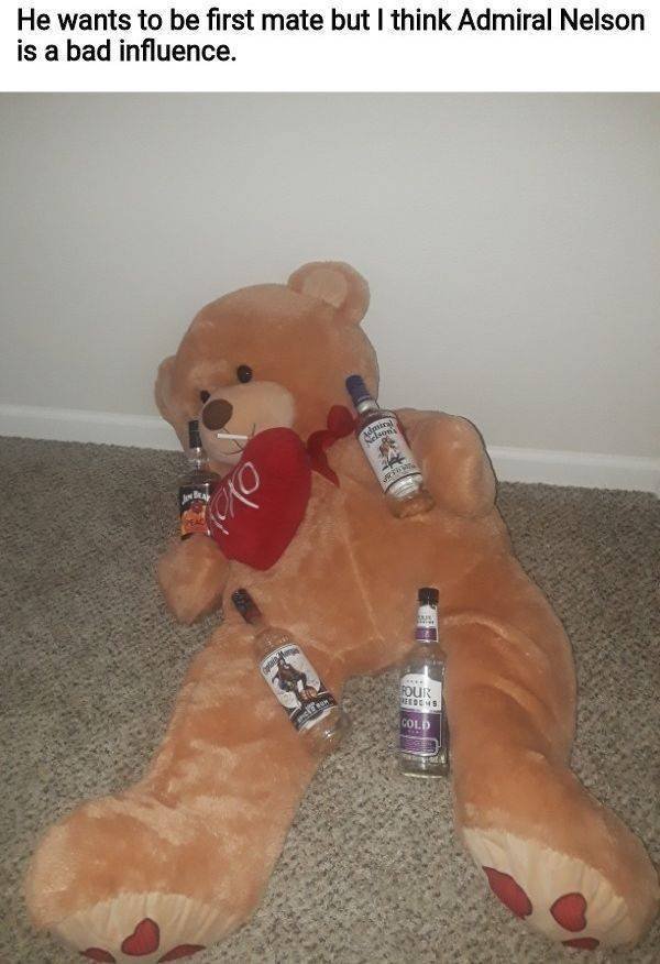 Alcohol Memes (41 pics)