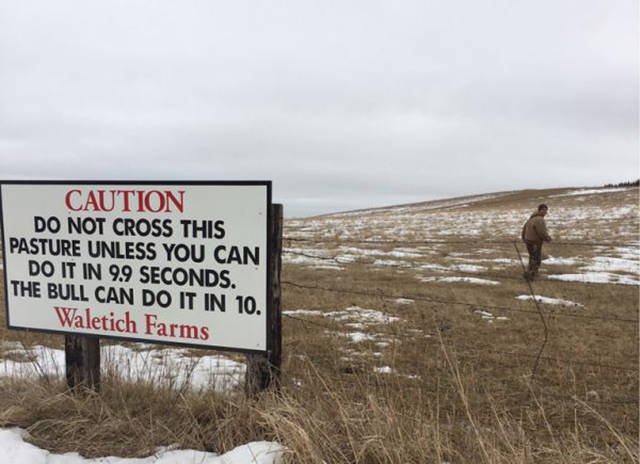 They Don't Care About The Rules (36 pics) They Don't Care About The Rules (36 pics)