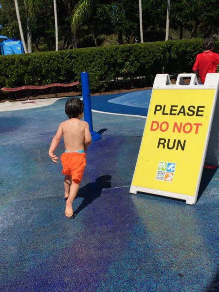 They Don't Care About The Rules (36 pics) They Don't Care About The Rules (36 pics)